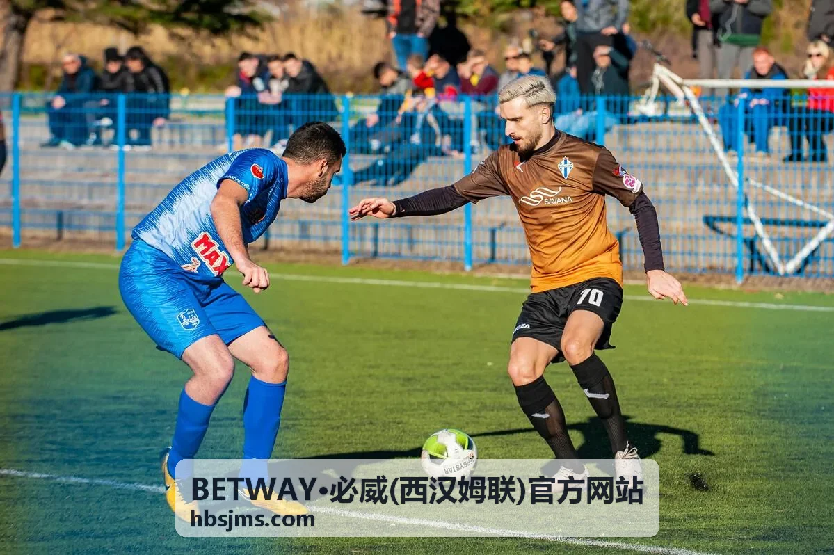 BETWAY·必威(西汉姆联)官方网站 - VIP会员尊享服务